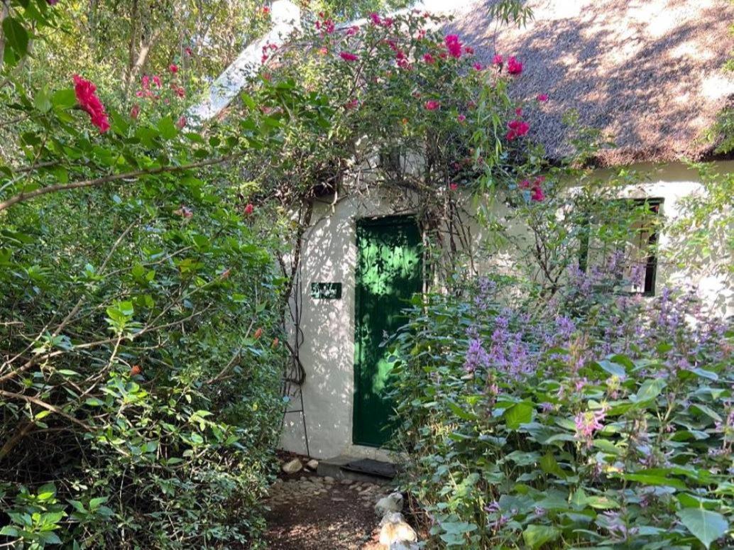 فندق Temenos Retreat ماكغريغور الغرفة الصورة